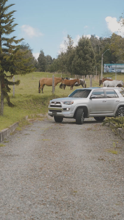 Toyota 4Runner Limited